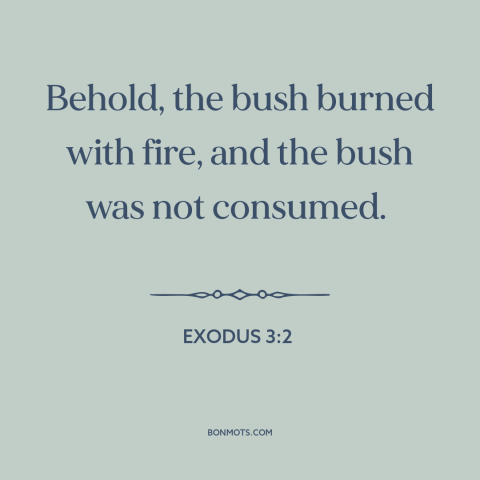 A quote from The Bible about biblical miracles: “Behold, the bush burned with fire, and the bush was not consumed.”