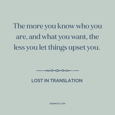 A quote from Lost in Translation about self-assurance: “The more you know who you are, and what you want, the less you…”