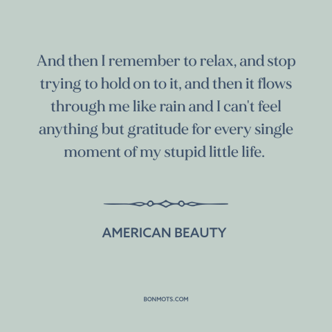 A quote from American Beauty about letting go: “And then I remember to relax, and stop trying to hold on to it…”