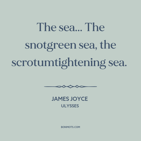 A quote by James Joyce about ocean and sea: “The sea... The snotgreen sea, the scrotumtightening sea.”