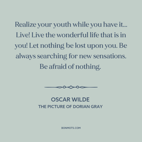 A quote by Oscar Wilde about youth: “Realize your youth while you have it... Live! Live the wonderful life that is…”