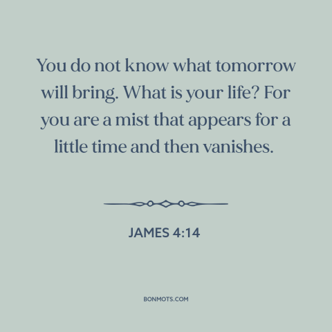 A quote from The Bible about ephemeral nature of life: “You do not know what tomorrow will bring. What is your life? For…”