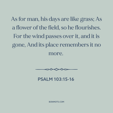 A quote from The Bible about ephemeral nature of life: “As for man, his days are like grass; As a flower of the field…”