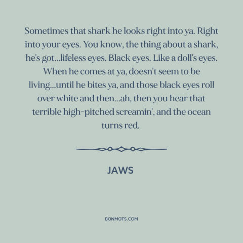 A quote from Jaws about shark attacks: “Sometimes that shark he looks right into ya. Right into your eyes. You know…”