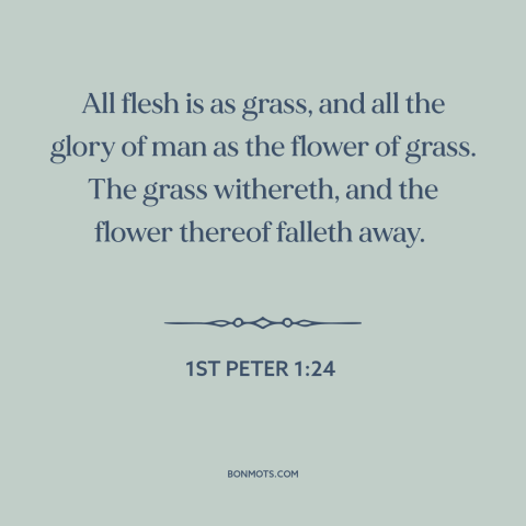 A quote from The Bible about sic transit gloria mundi: “All flesh is as grass, and all the glory of man as the flower…”