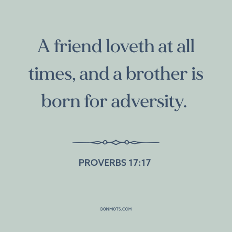 A quote from The Bible about friends: “A friend loveth at all times, and a brother is born for adversity.”