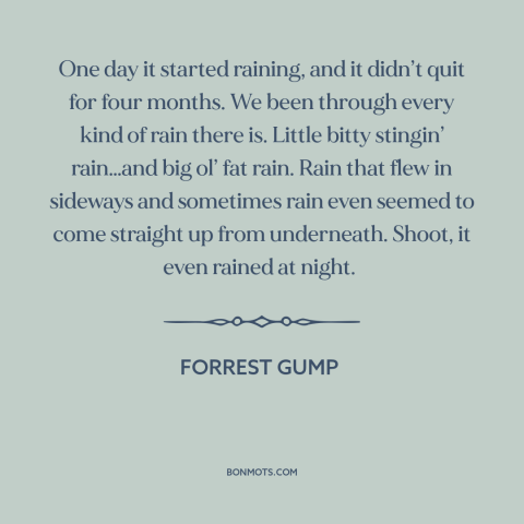 A quote from Forrest Gump about rain: “One day it started raining, and it didn’t quit for four months. We been…”