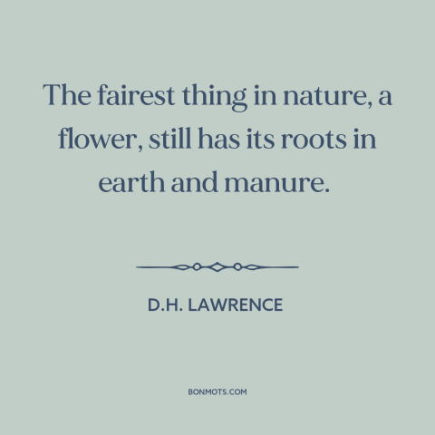 A quote by D.H. Lawrence about flowers: “The fairest thing in nature, a flower, still has its roots in earth and…”