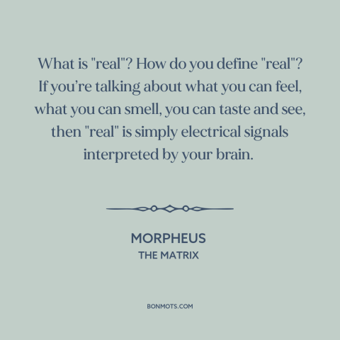 A quote from The Matrix about nature of reality: “What is "real"? How do you define "real"? If you’re talking about what…”