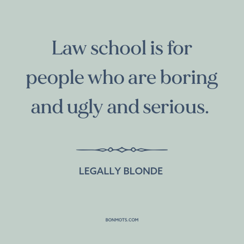 A quote from Legally Blonde about lawyers: “Law school is for people who are boring and ugly and serious.”