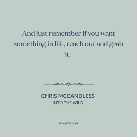 A quote from Into the Wild about going for it: “And just remember if you want something in life, reach out and grab it.”