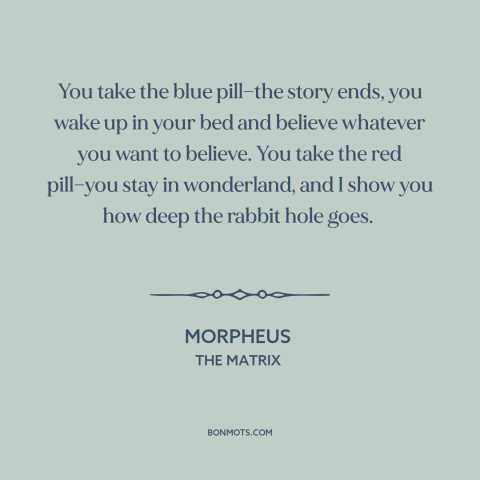 A quote from The Matrix about ignorance is bliss: “You take the blue pill—the story ends, you wake up in your bed and…”