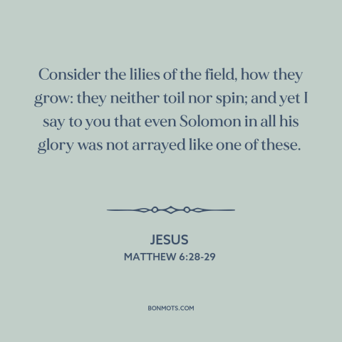 A quote by Jesus about worry: “Consider the lilies of the field, how they grow: they neither toil nor spin;…”