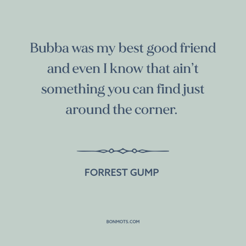 A quote from Forrest Gump about value of friendship: “Bubba was my best good friend and even I know that ain’t something…”