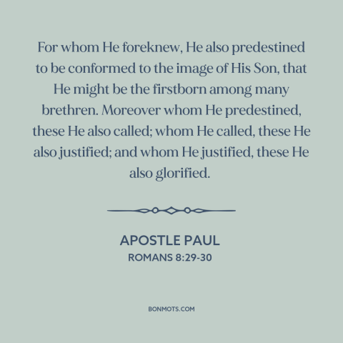 A quote by Apostle Paul about predestination: “For whom He foreknew, He also predestined to be conformed to the image of…”