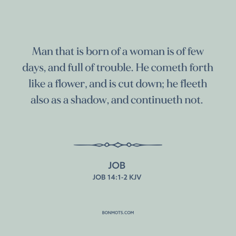 A quote from The Bible about ephemeral nature of life: “Man that is born of a woman is of few days, and full of…”