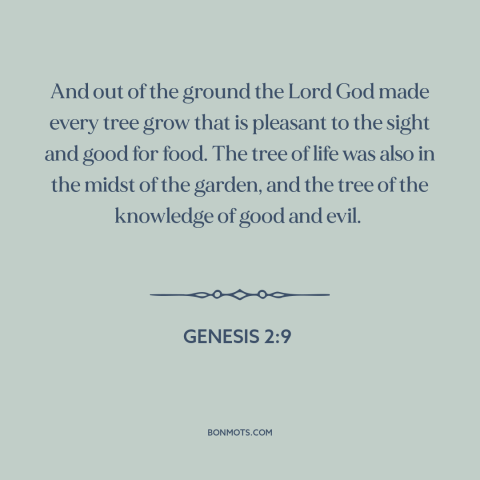 A quote from Genesis about trees: “And out of the ground the Lord God made every tree grow that is pleasant to the sight…”