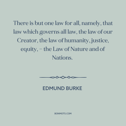 A quote by Edmund Burke about natural law: “There is but one law for all, namely, that law which governs all law…”