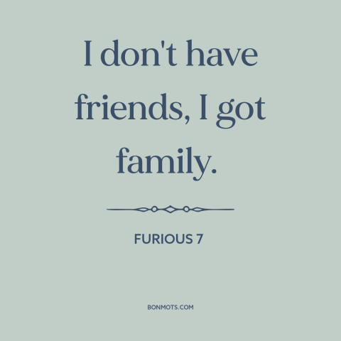 A quote from Furious 7 about friends and family: “I don't have friends, I got family.”