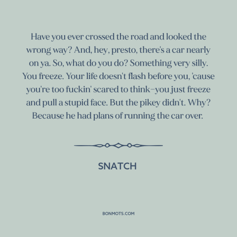 A quote from Snatch about freezing in fear: “Have you ever crossed the road and looked the wrong way? And, hey, presto…”