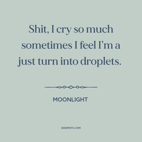 A quote from Moonlight about crying: “Shit, I cry so much sometimes I feel I’m a just turn into droplets.”