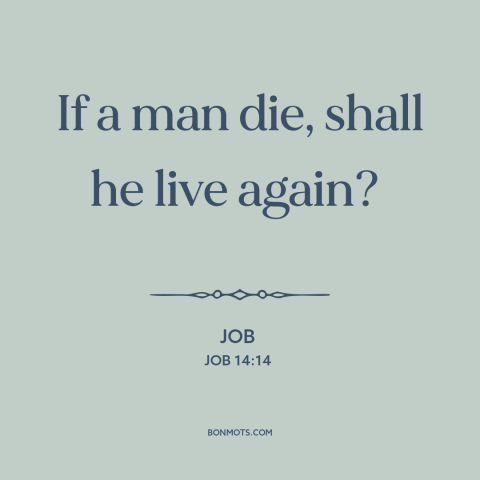 A quote from The Bible about death: “If a man die, shall he live again?”